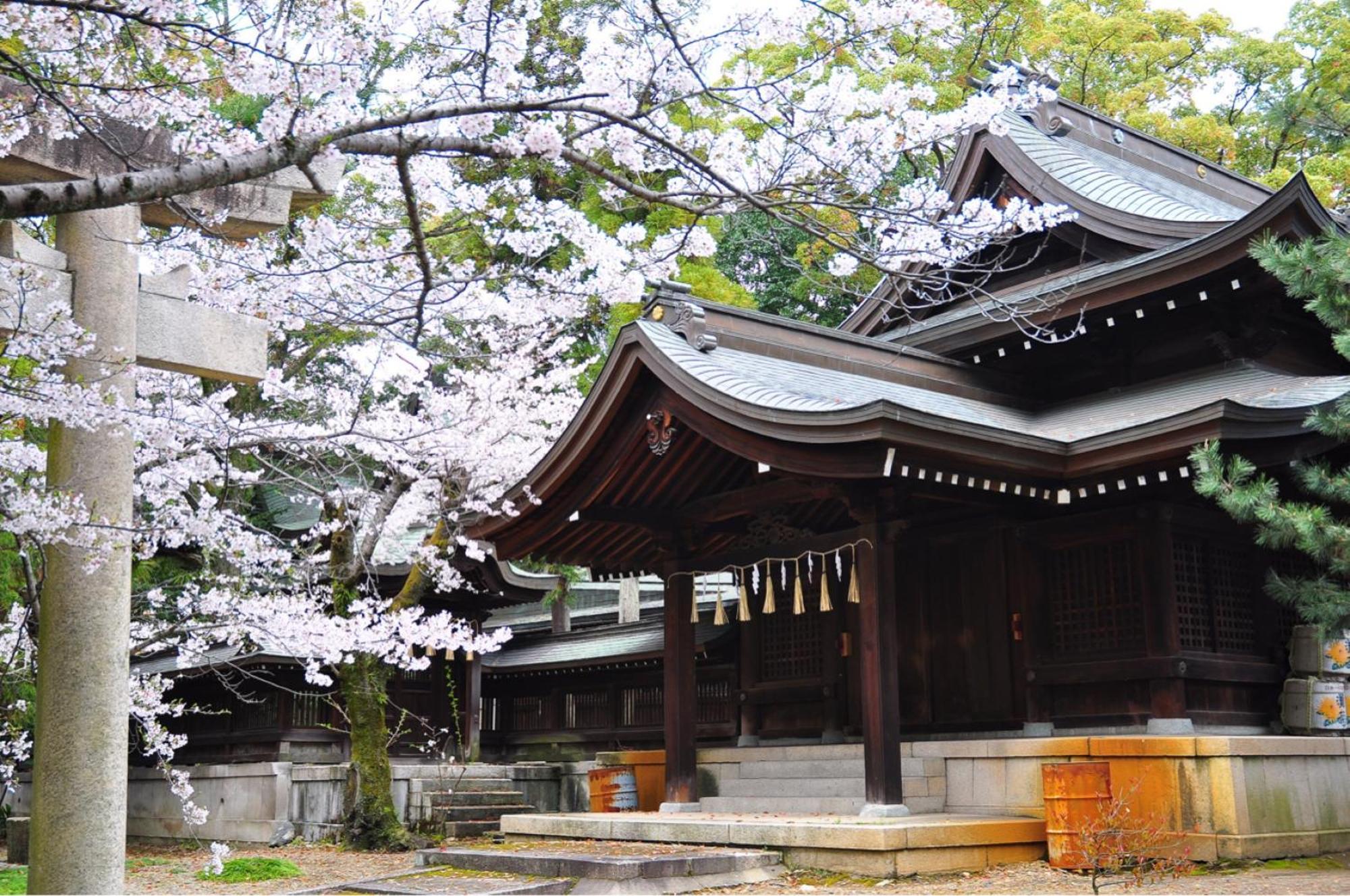 Wholehouse Himeji ホールハウス 姫路 Villa Luaran gambar