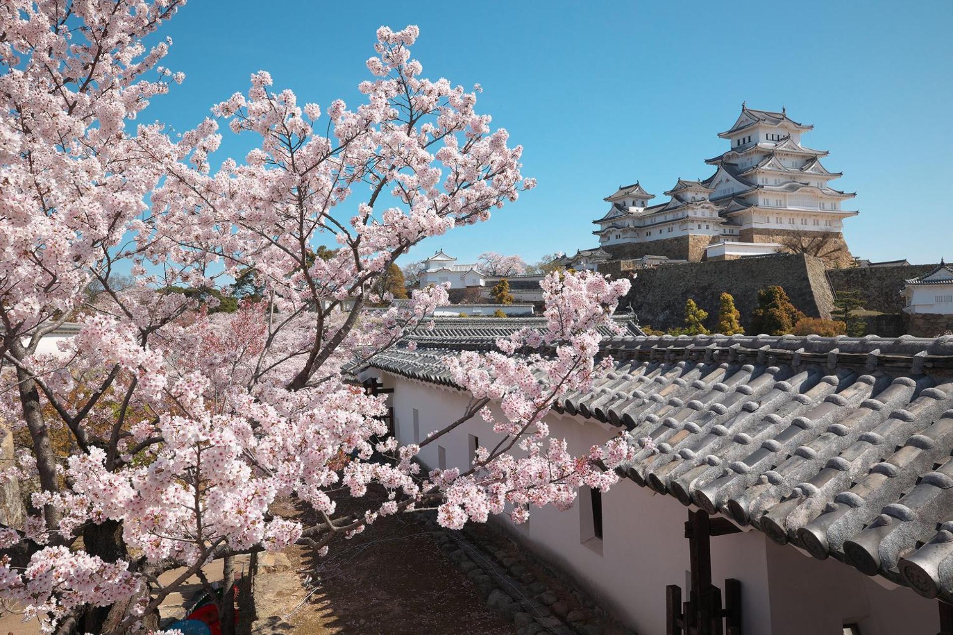 Wholehouse Himeji ホールハウス 姫路 Villa Luaran gambar